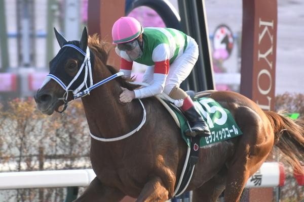 みやこステークス 2023結果情報】セラフィックコールが無傷の5連勝で重