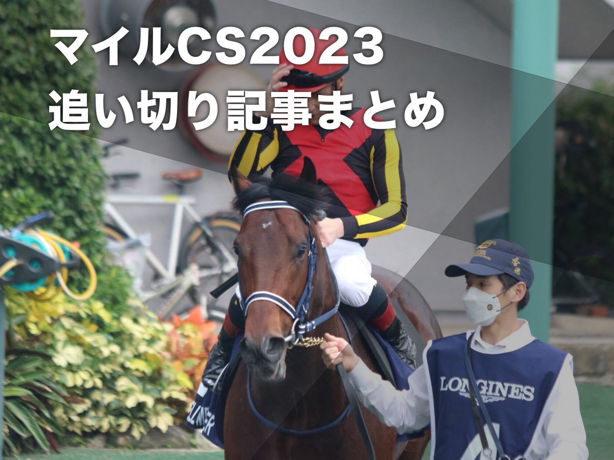 正規取扱店】 ☆ダイイチルビー マイルCS 単勝 馬券 競馬 競走馬 ウマ 