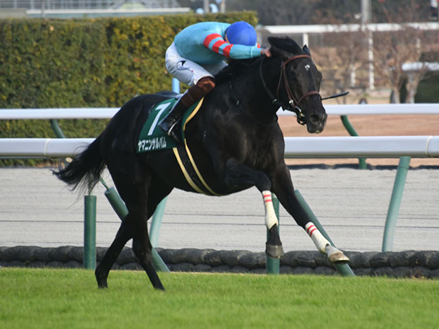 中日新聞杯2023結果情報】ヤマニンサルバムが悲願の重賞初制覇！2着に13番人気の白毛馬ハヤヤッコが入線 | 競馬まとめ - netkeiba