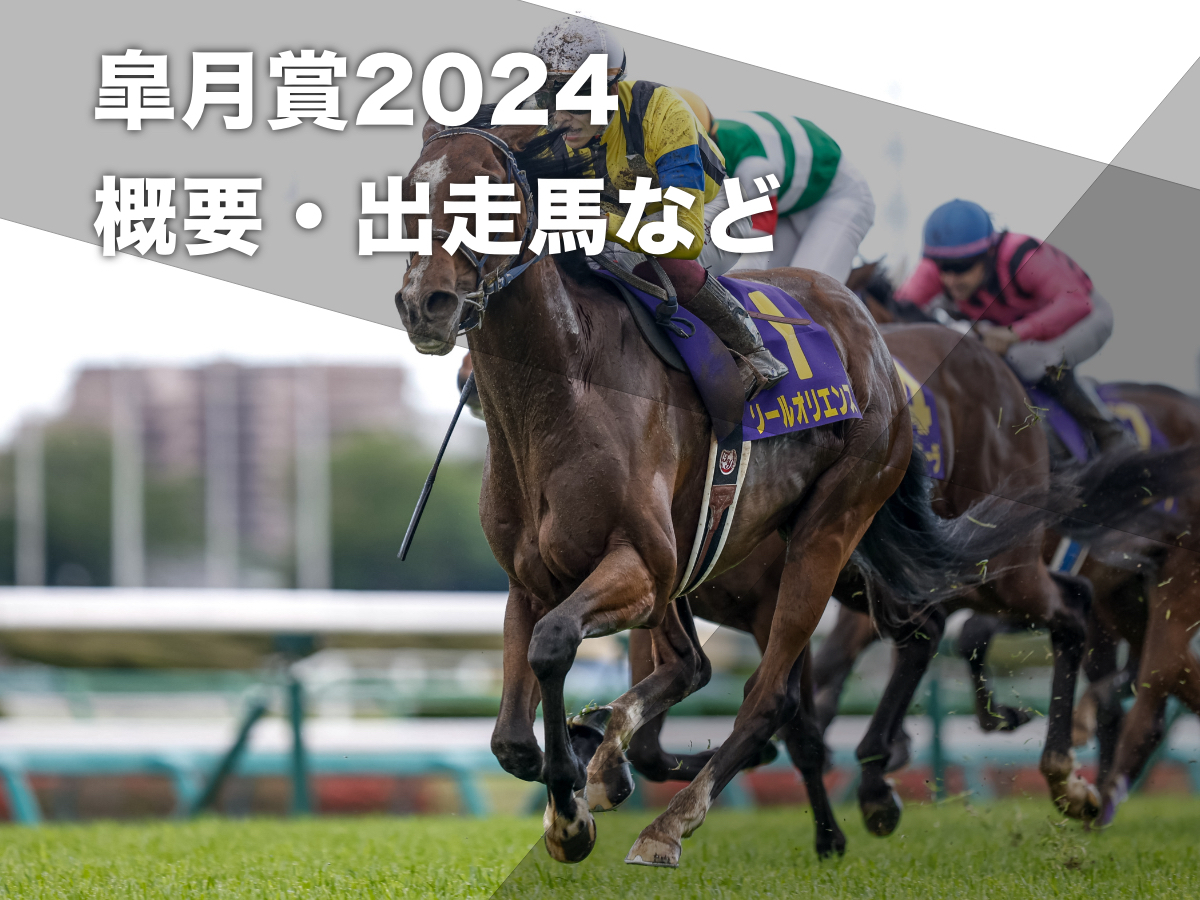 皐月賞2024】出走予定馬・予定騎手・予想・日程・レース概要・最新情報 | 競馬まとめ - netkeiba