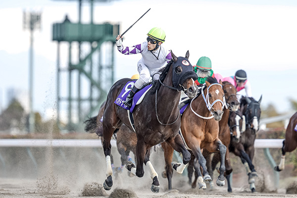 フェブラリーステークス 歴代優勝馬・騎手一覧 | 競馬まとめ - netkeiba