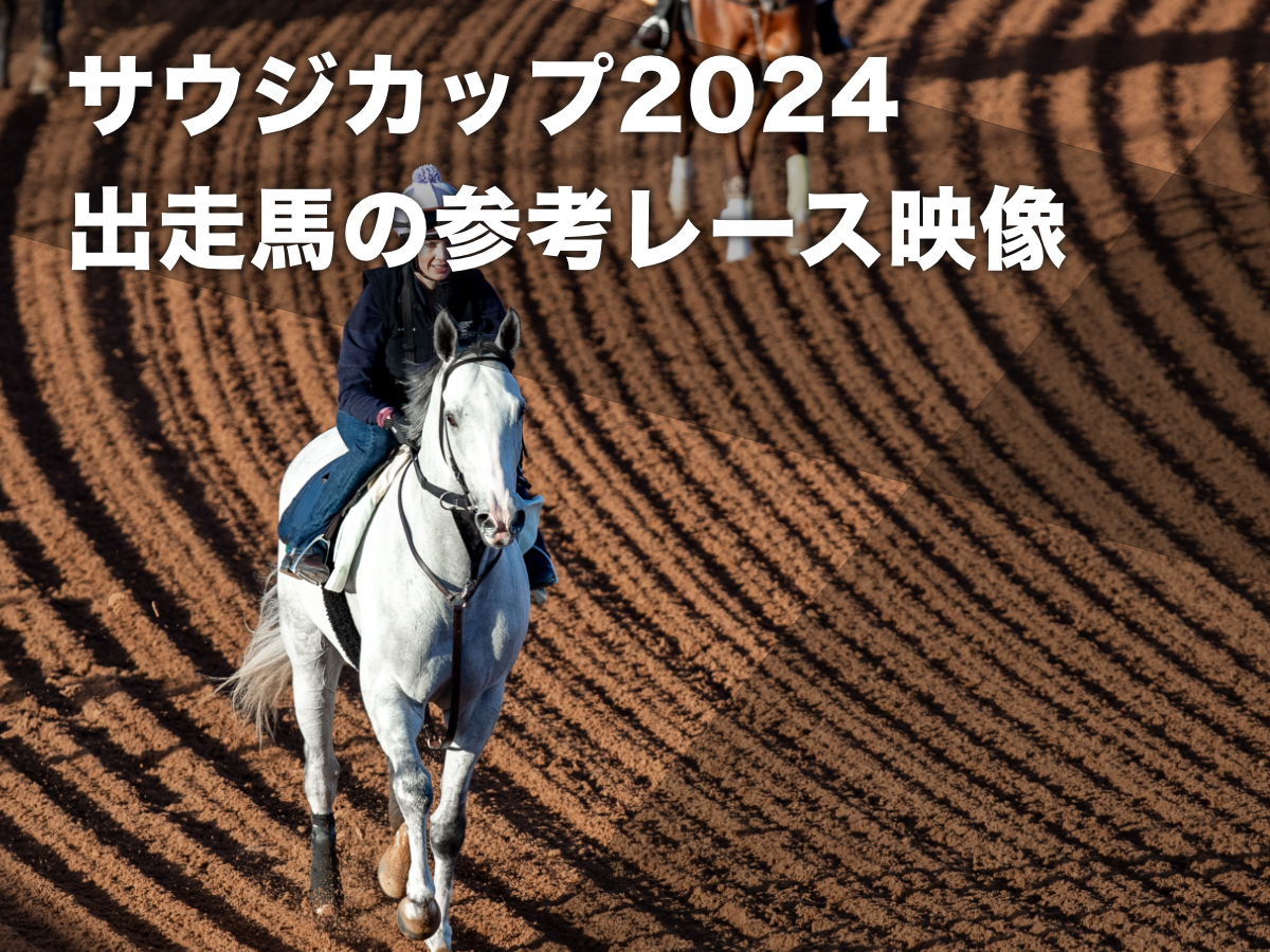 【サウジカップ2024参考レース映像】2024年サウジカップ出走予定馬のレース映像まとめ Bcクラシック・ペガサスワールドカップほか 競馬