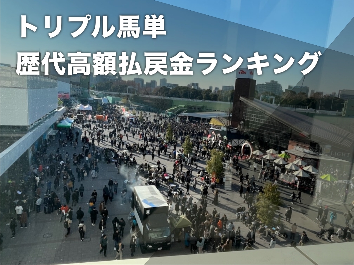 トリプル馬単(地方競馬)の歴代高額払戻金ランキングTOP50・最新情報 歴代最高配当は「2億2813万165円」 | 競馬まとめ - netkeiba