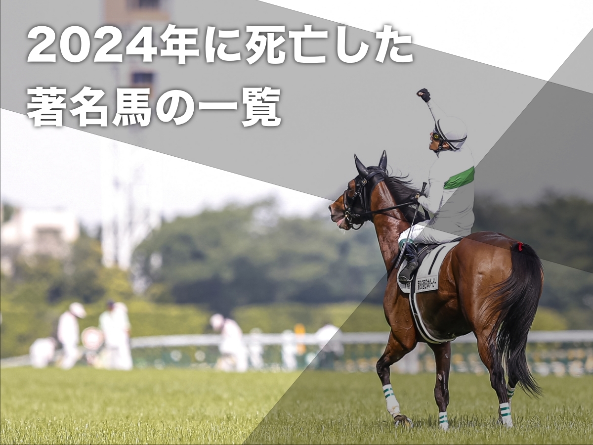 2024年に死亡した著名な競走馬・元競走馬 | 競馬まとめ - netkeiba