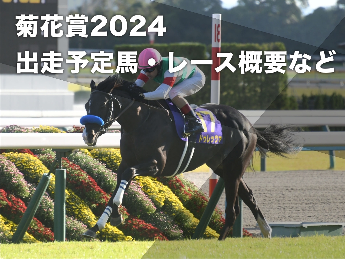 菊花賞2024】出走予定馬・日程・レース概要・歴代優勝馬など最新情報【10月20日15時40分】 | 競馬まとめ - netkeiba