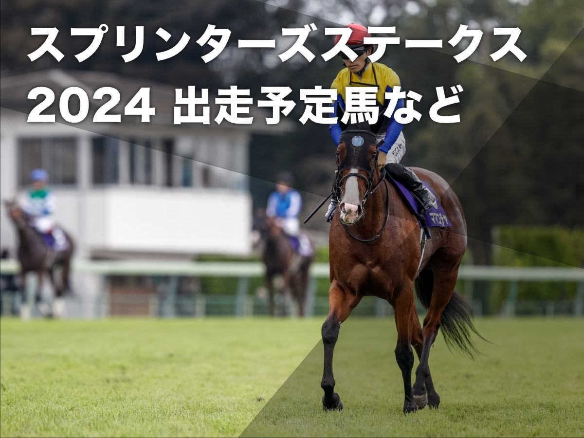 スプリンターズステークス2024】出走予定馬・レース概要・日程・歴代優勝馬など最新情報【9月29日(日)15時40分】 | 競馬まとめ -  netkeiba