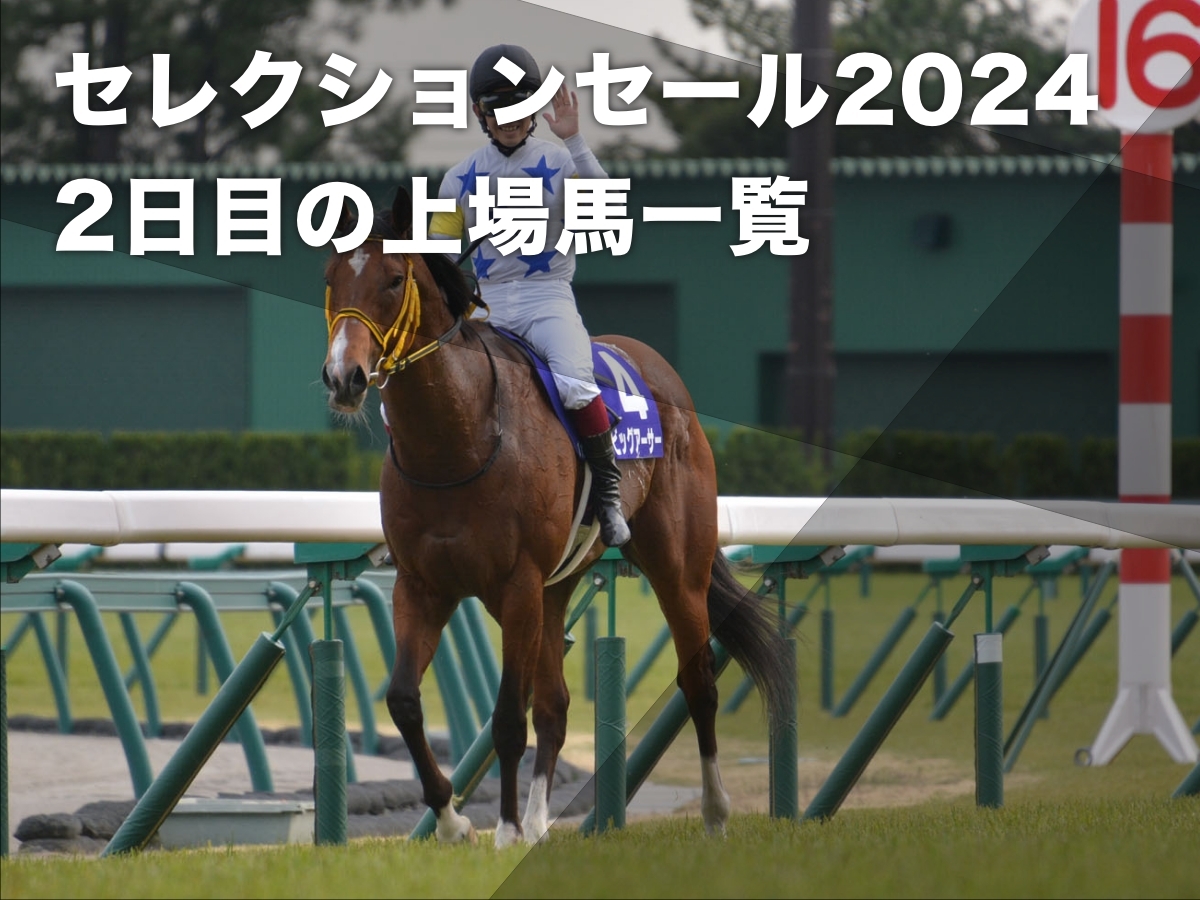 セレクションセール2024】2日目の上場馬181頭の一覧・落札価格・落札者・ライブ映像  ソダシのレコード更新キングスコールの半妹が8000万円(歴代6位)など最新情報 | 競馬まとめ - netkeiba