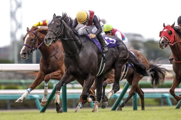 スプリンターズステークス 歴代優勝馬・騎手一覧
