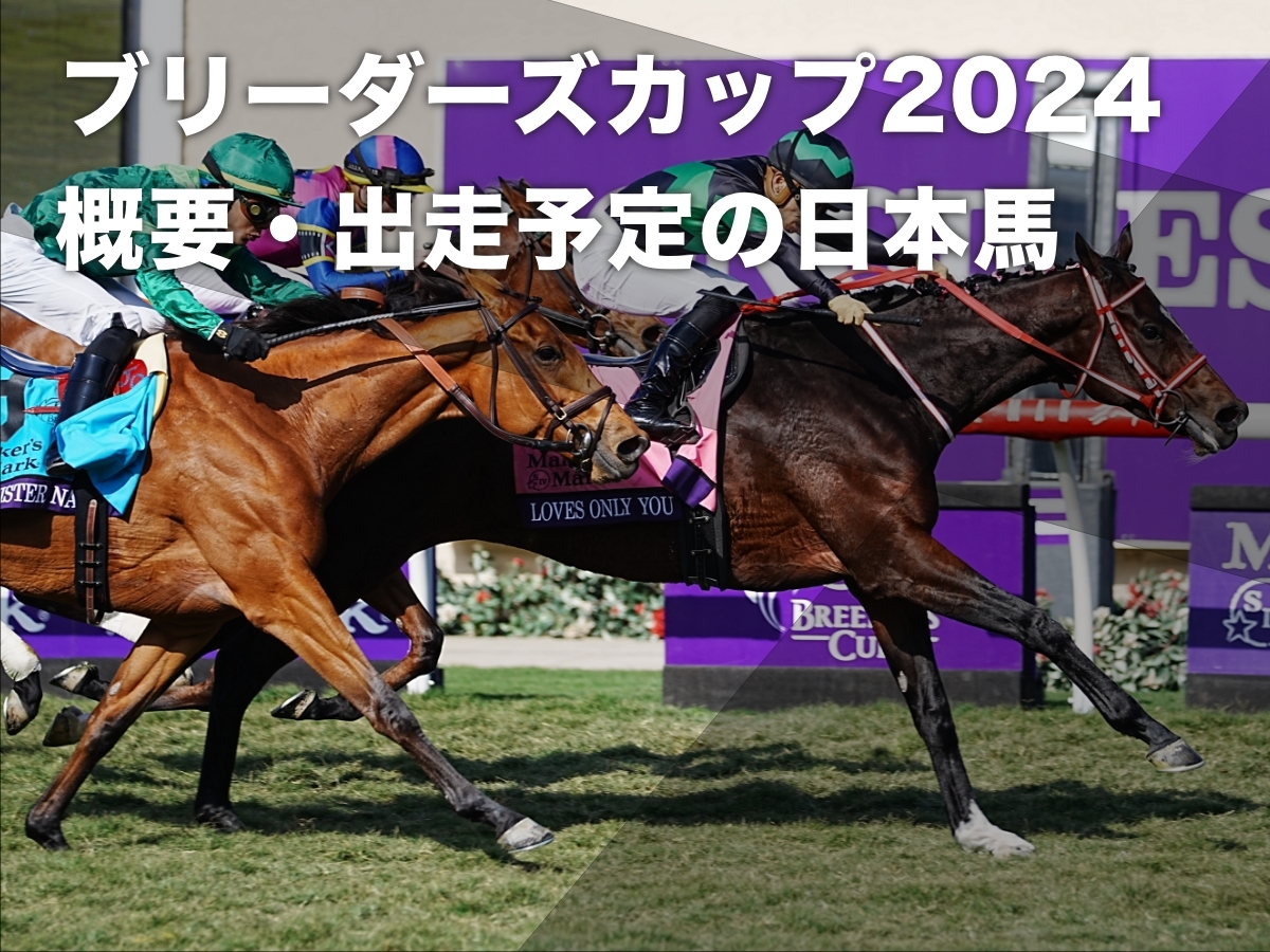 【ブリーダーズカップ2024】ブリーダーズカップの概要・出走予定の日本馬一覧・歴代の結果・日本馬の成績など最新情報 | 競馬まとめ - netkeiba