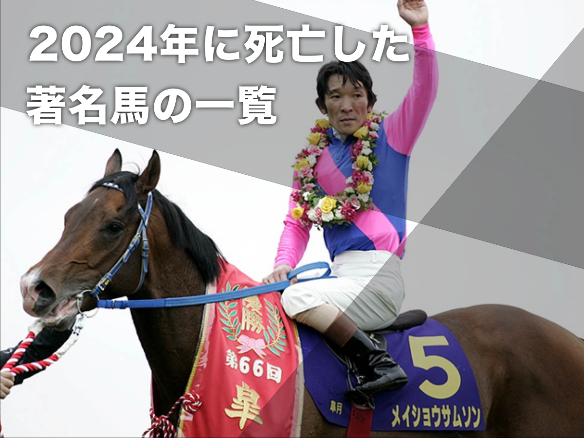 2024年に死亡した著名な競走馬・元競走馬 | 競馬まとめ - netkeiba