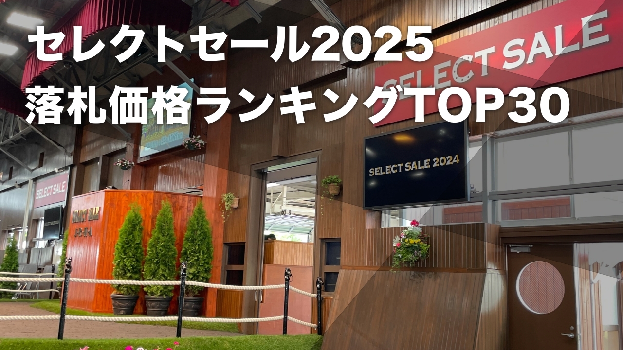 セレクトセール2025】落札価格ランキングTOP30 ミッドナイトビズーの