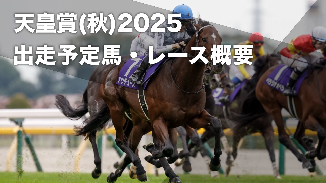な³☆実際に使用!JRA 競馬バナー天皇賞秋　ポタジェレッドガロン（表裏） な³様専用☆実際に使用!JRA 競馬バナー天皇賞秋 ポタジェレッド