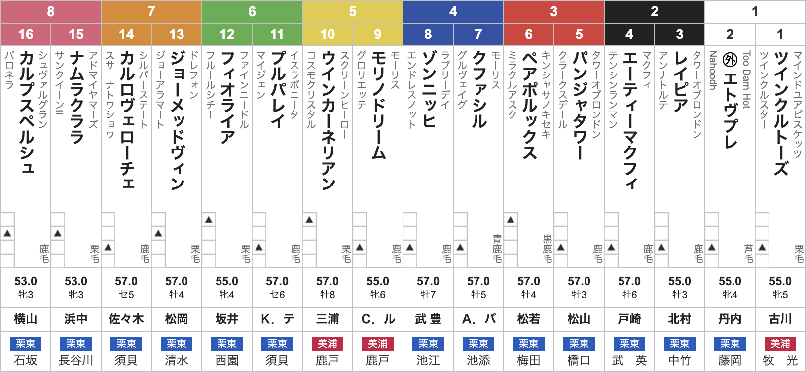 JRA 非売品 等身大パネル ジャパンカップ 枠順 出馬表 ジャパンC枠順】ドバイSC勝ち馬シャフリヤールは7枠15番、天皇賞