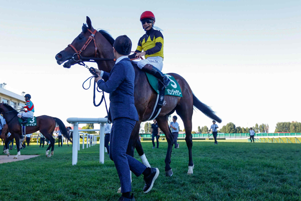 お取り置きパンジャタワー キーンランドカップ2025 キーンランドカップ2025】GⅠ馬となったパンジャタワーの復帰戦