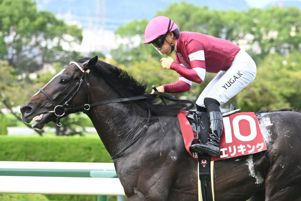 神戸新聞杯 2025結果情報】エリキングが差し切りV 復活の重賞2勝目で