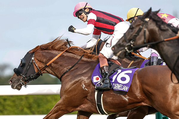スプリンターズステークス 歴代優勝馬・騎手一覧 | 競馬まとめ - netkeiba