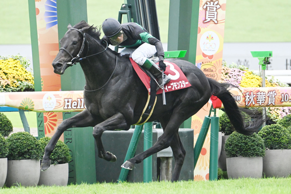 ディープモンスター　25年　京都大賞典　現地的中単勝馬券　アミールＴ制覇！ 京都大賞典 2025結果情報】7歳ディープモンスターが悲願の重賞初制覇