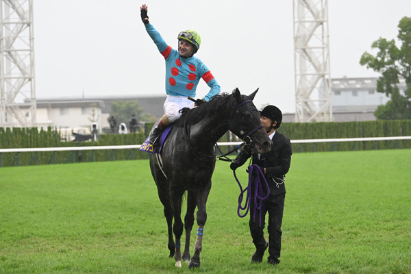 菊花賞 歴代優勝馬・騎手一覧（過去G1結果） | 競馬まとめ - netkeiba