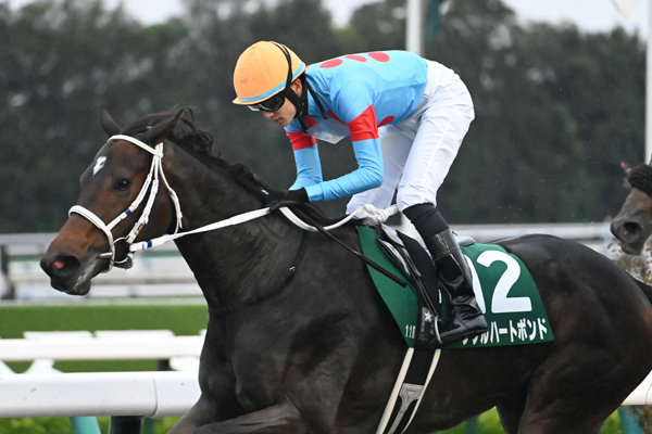 第13回 みやこステークス 2023 優勝馬ゼッケン みやこステークス結果 2025結果情報】ダブルハートボンドが好位から