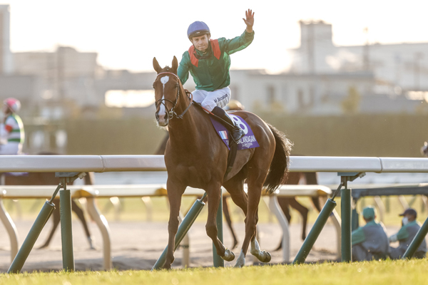 ジャパンカップ 歴代優勝馬・騎手一覧（過去G1結果） | 競馬まとめ