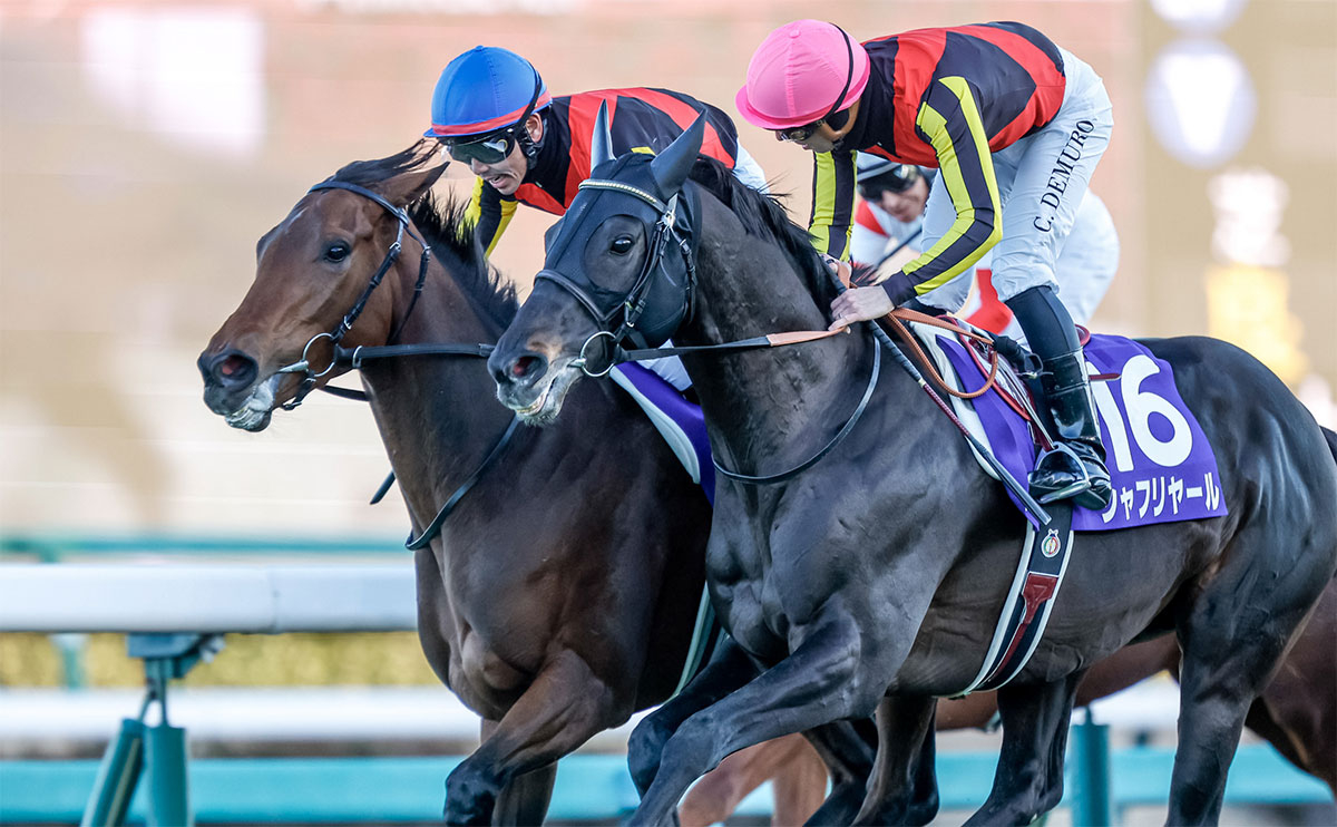有馬記念2025予想・サイン馬券】有馬記念のサイン馬券投稿結果発表 