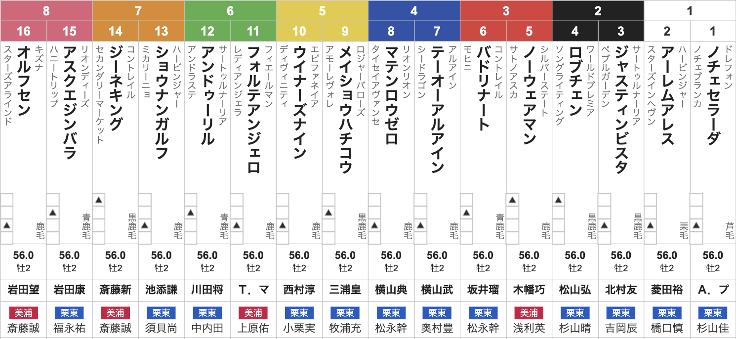 2025年　ホープフルステークス 全出走馬現地単勝馬券 勝ち馬　ロブチェン ホープフルステークス2025枠順発表】全16頭 アンドゥーリル6枠12番