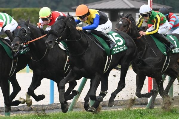 京都金杯 2026結果情報】ブエナオンダが後ろから脚を伸ばして重賞初