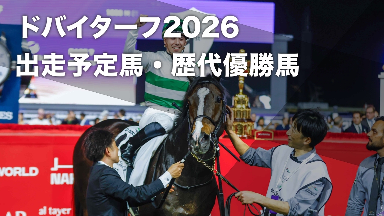 1996年 第41回有馬記念全14頭出走 単勝馬券