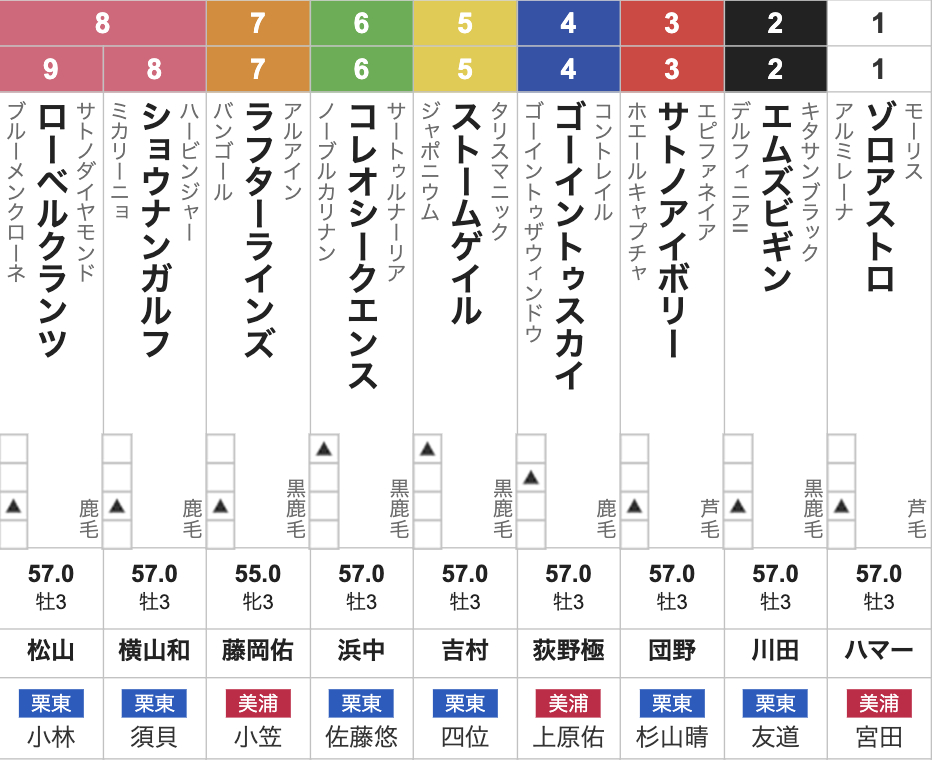 きさらぎ賞2026枠順発表】全9頭 5.9億円馬エムズビギン2枠2番・ゾロ