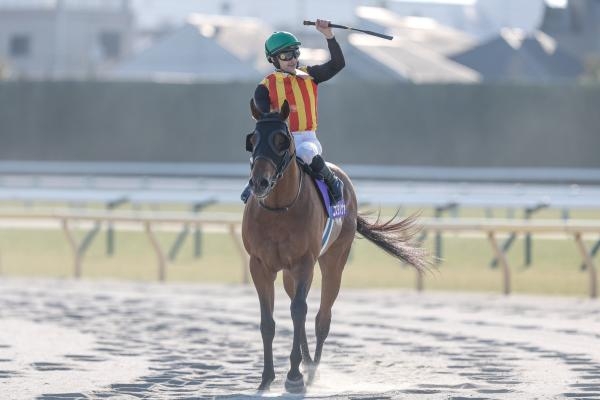 フェブラリーステークス 歴代優勝馬・騎手一覧 | 競馬まとめ - netkeiba