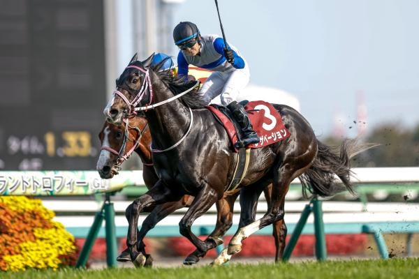 ニュージーランドトロフィー 2026結果情報】レザベーションが押し切っ