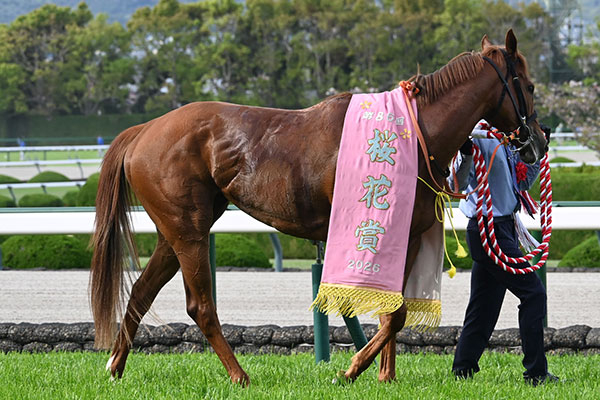桜花賞(G1) 歴代優勝馬・騎手一覧 2026年優勝馬：スターアニス | 競馬