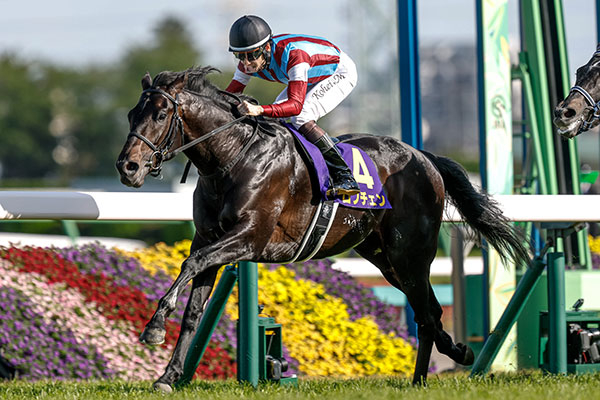 皐月賞 2026結果情報】ロブチェン逃げ切り勝利 松山弘平騎手はGl10勝目