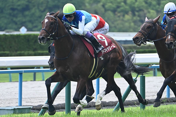 マイラーズカップ 2026結果情報】アドマイヤズーム重賞2勝目 武豊騎手2