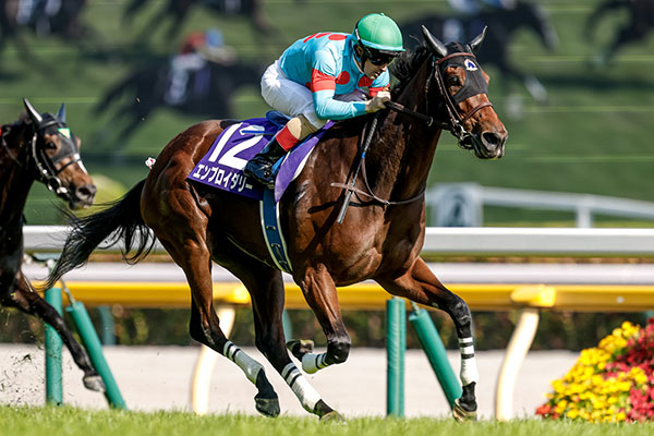 ヴィクトリアマイル 歴代優勝馬・騎手一覧 | 競馬まとめ - netkeiba