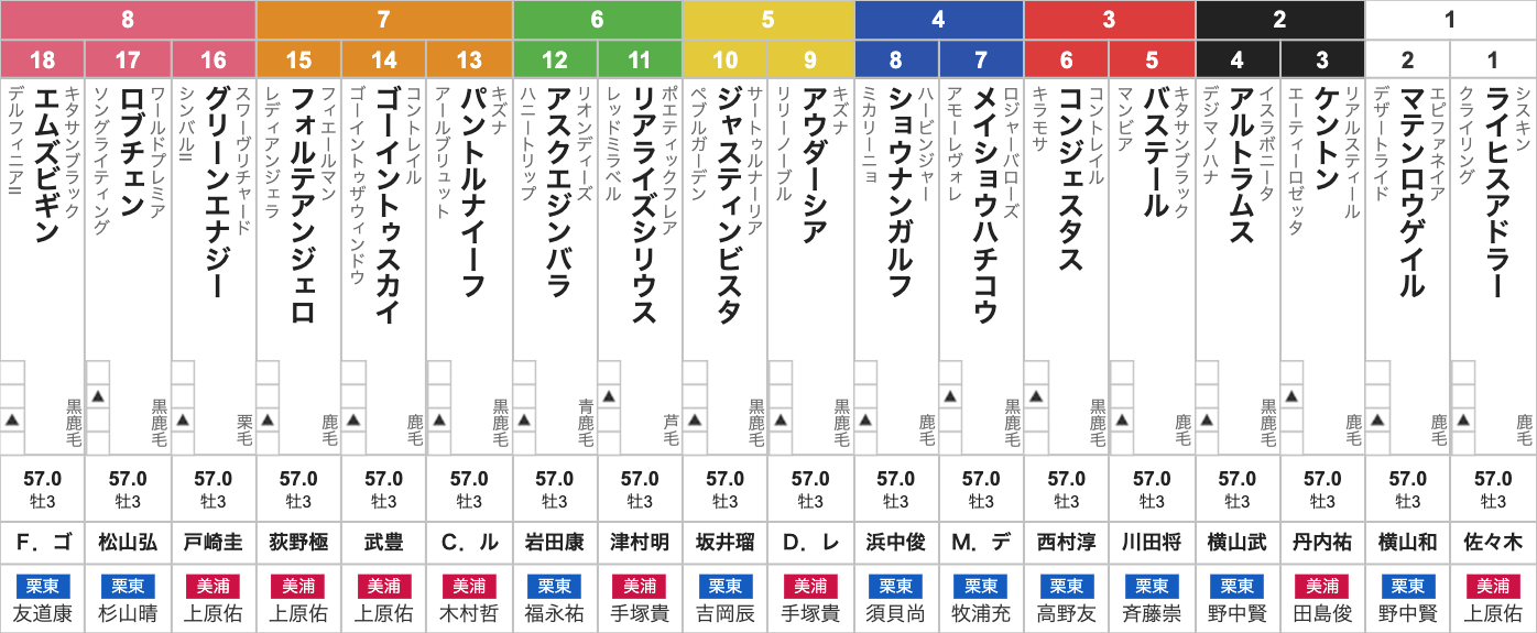 【ウオッカ】日本ダービー全18頭出走馬(現地的中馬券) 美術品・アンティーク・コレクション 【ウオッカ】日本ダービー全18頭