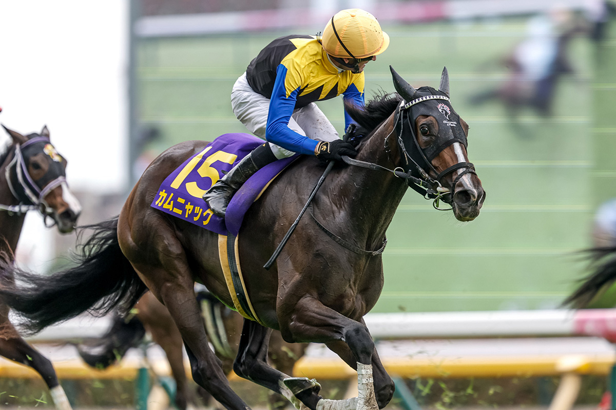 次走想定・古馬】カムニャックはアイルランドT、パンジャタワーは 