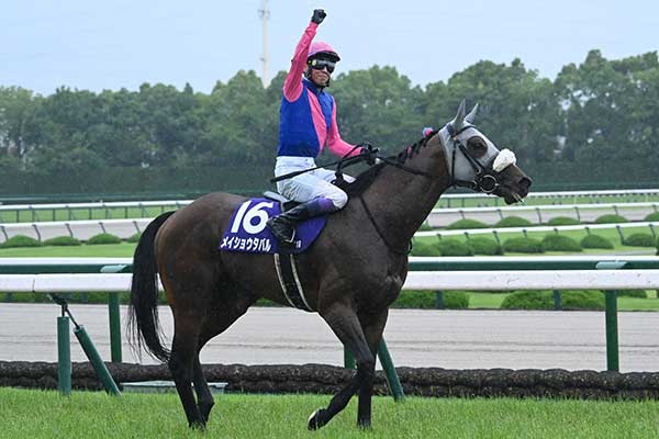 第34回、宝塚記念、優勝馬単勝馬券 宝塚記念 歴代優勝馬・騎手一覧 | 競馬まとめ - netkeiba