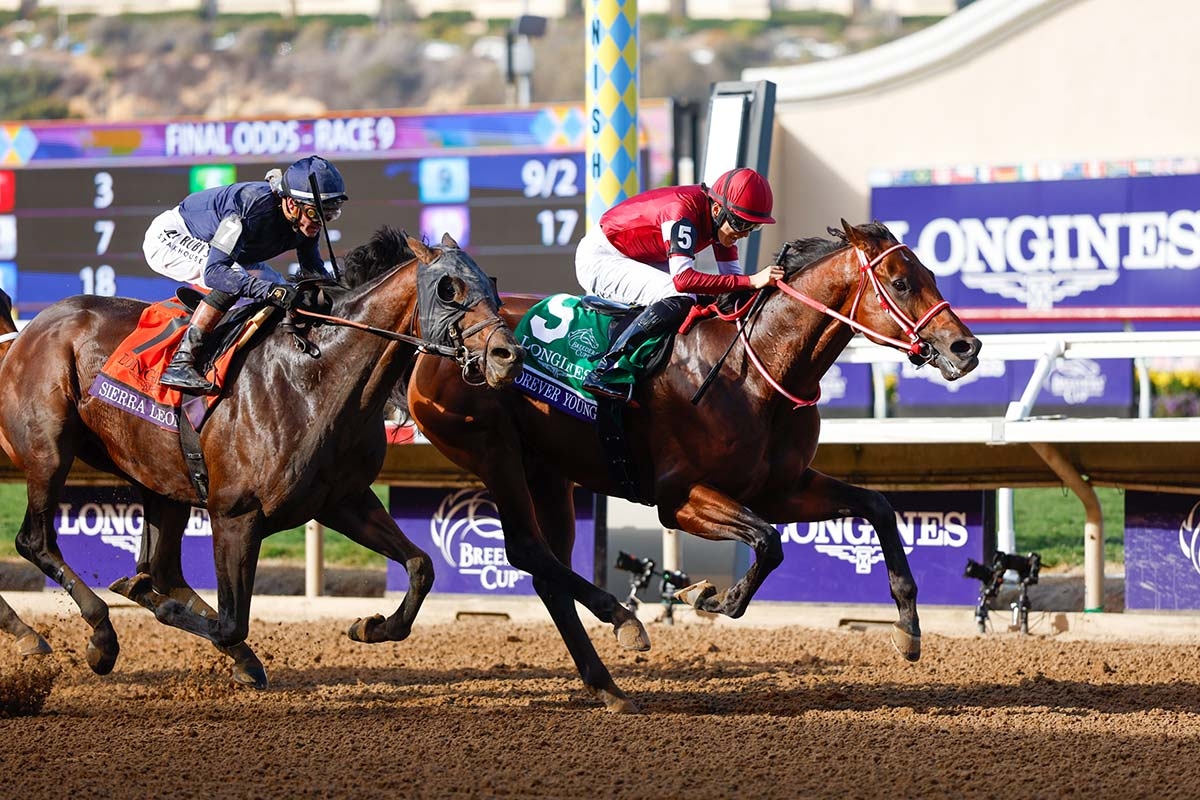 次走想定・古馬】フォーエバーヤングはジョッキークラブゴールドC 