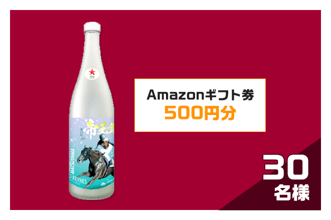 プレゼントイメージ netkeiba特製「トゥインクルレース35周年記念日本酒ボトル」＆Amazonギフト券500円（30名様）